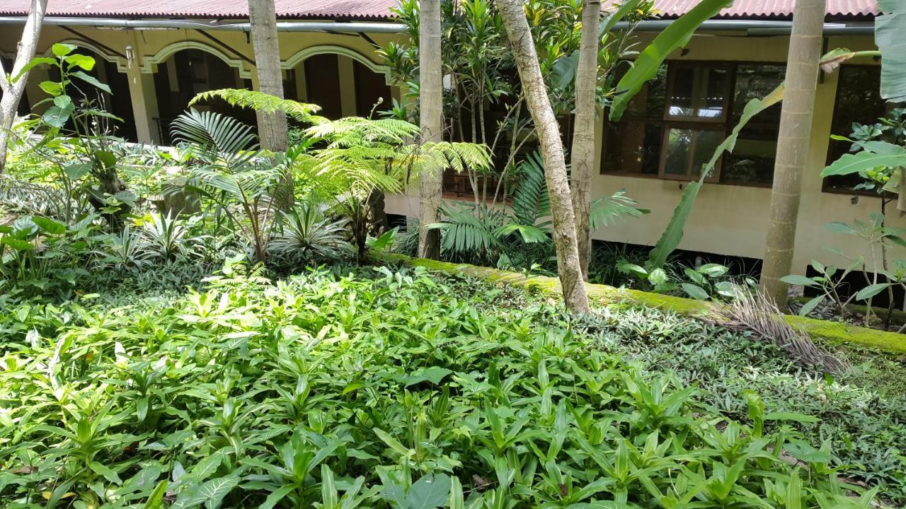 Centro Bajo Hotel&Resto Labuan Bajo Habitación foto